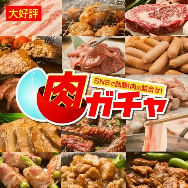 福袋 食品【3000円コース】肉ガチャ 肉福袋 冷凍 肉 精肉 加工品 詰め合わせ グルメ 福袋2025 爆買