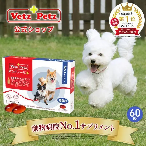 公式 アンチノール プラス ペットサプリ 60粒 犬 犬用 サプリメント サプリ 関節 DHA EPA 皮膚 腎臓 神経 高齢 シニアケア モエギイガイ ベッツペッツ