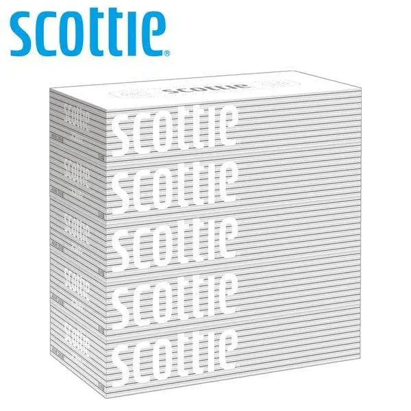 スコッティ scottie ティッシュペーパー 200組 5箱×12パック(60箱) ティッシュ ティシュー ボックスティッシュ 箱ティッシュ まとめ買い 日本製紙クレシア